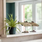 Modern Flat Near The Dunes Appartement *