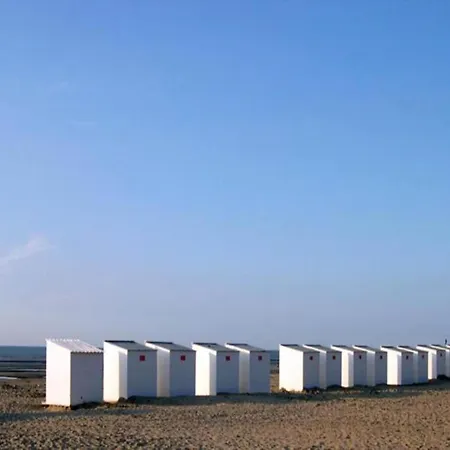 Modern Flat Near The Dunes