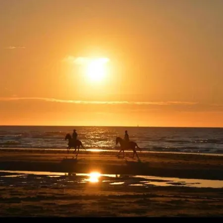 Modern Flat Near The Dunes