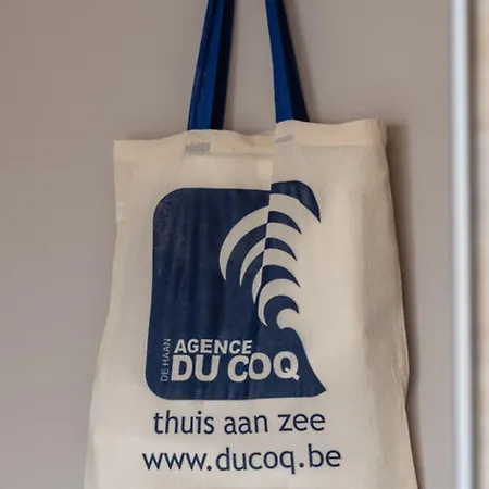 Modern Flat Near The Dunes *